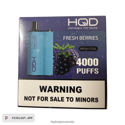 Fresh Berries