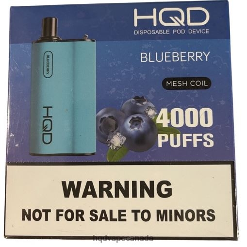 HQD BOX 4000 PUFFS | HQD Vape Toronto X28BT84 Blueberry