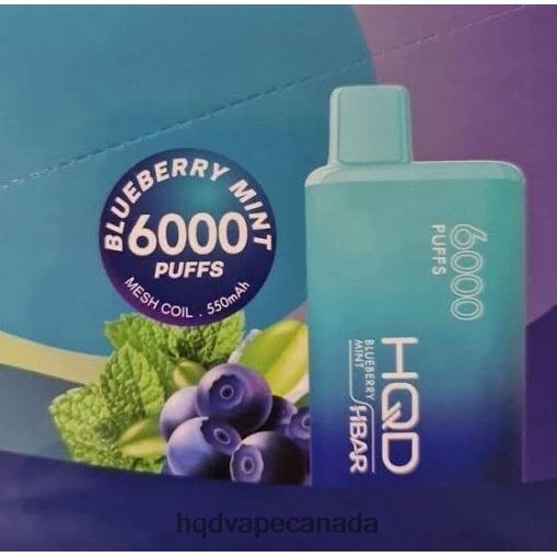 HQD HBAR 6000 PUFFS | HQD Vape Canada X28BT51 Blueberry Mint
