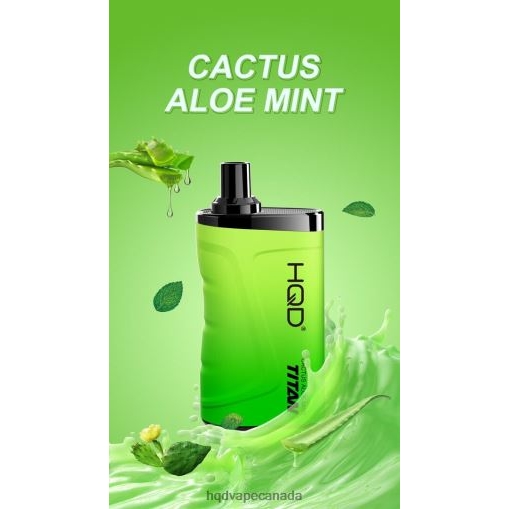 Cactus Aloe Mint