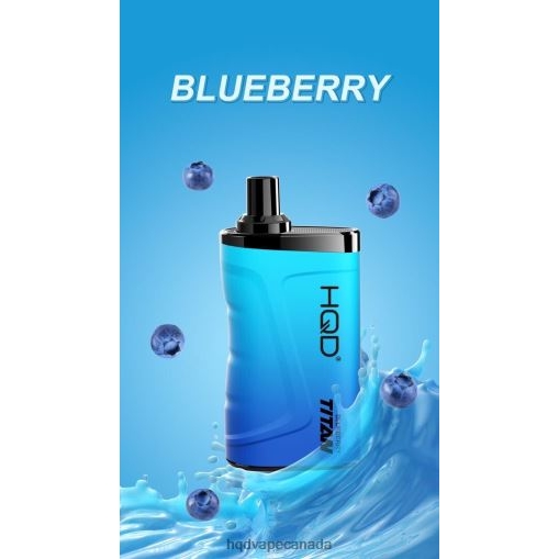 Blueberry
