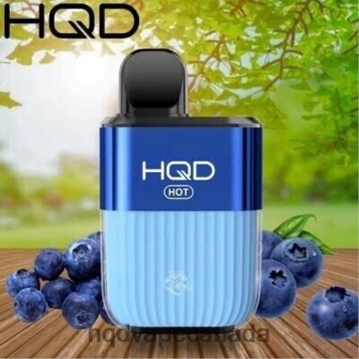 HQD HOT 5000 PUFFS | HQD Vapes Sale X28BT66 Blueberry