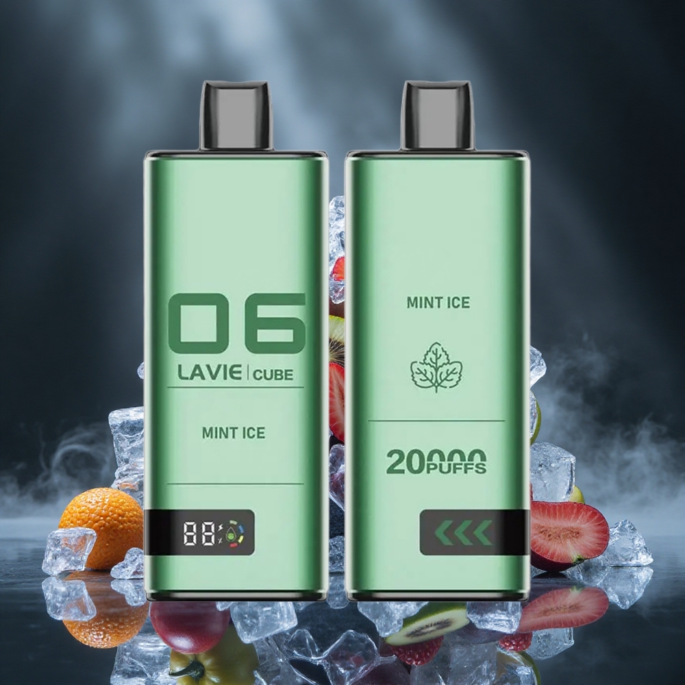Lavie Cube 20000 Puffs Mint Ice Disposable Vape 28ML Canada vape wholesale