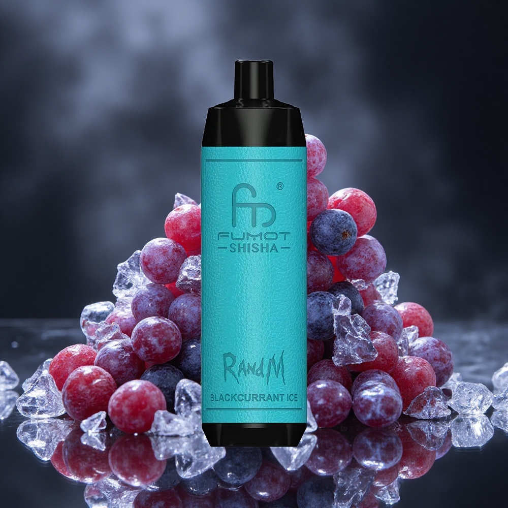 RandM Fumot Shisha 10000 Puffs Blackcurrant Ice Disposable Vape with LED Indicator Canada vape wholesale