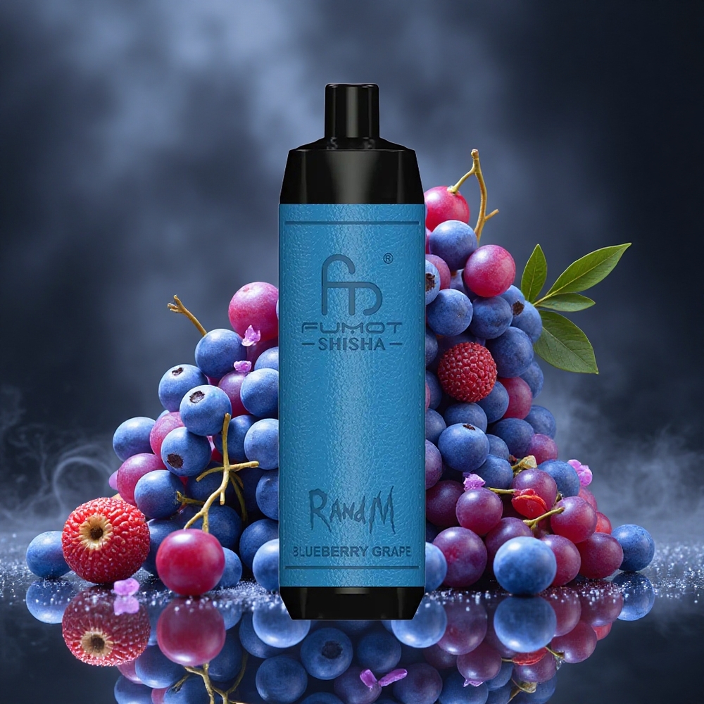 RandM Fumot Shisha 10000 Puffs Blueberry Grape LED Indicator Type-C Port Canada vape wholesale