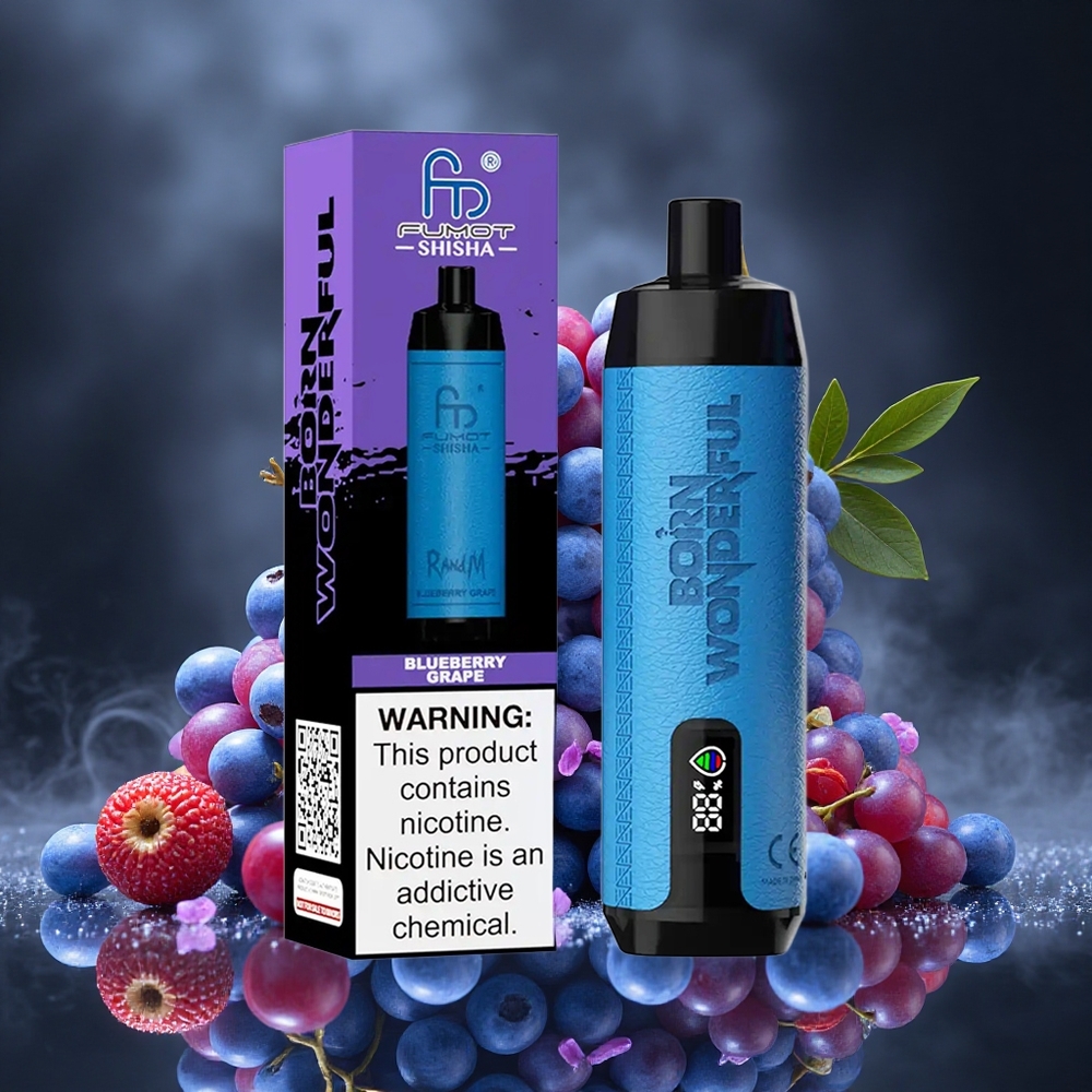 RandM Fumot Shisha 10000 Puffs Blueberry Grape LED Indicator Type-C Port Canada vape wholesale