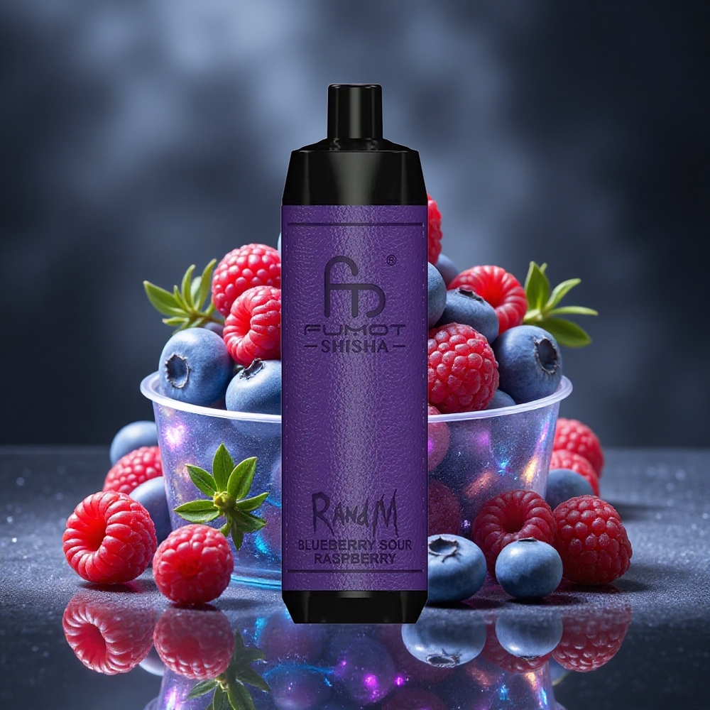 RandM Fumot Shisha 10000 Puffs Blueberry Sour Raspberry Disposable Vape with LED Indicator Canada vape wholesale