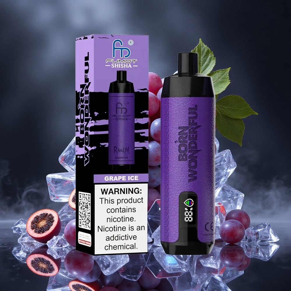 RandM Fumot Shisha 10000 Puffs Grape Ice Disposable Vape with LED Indicator and Type-C Port Canada vape wholesale