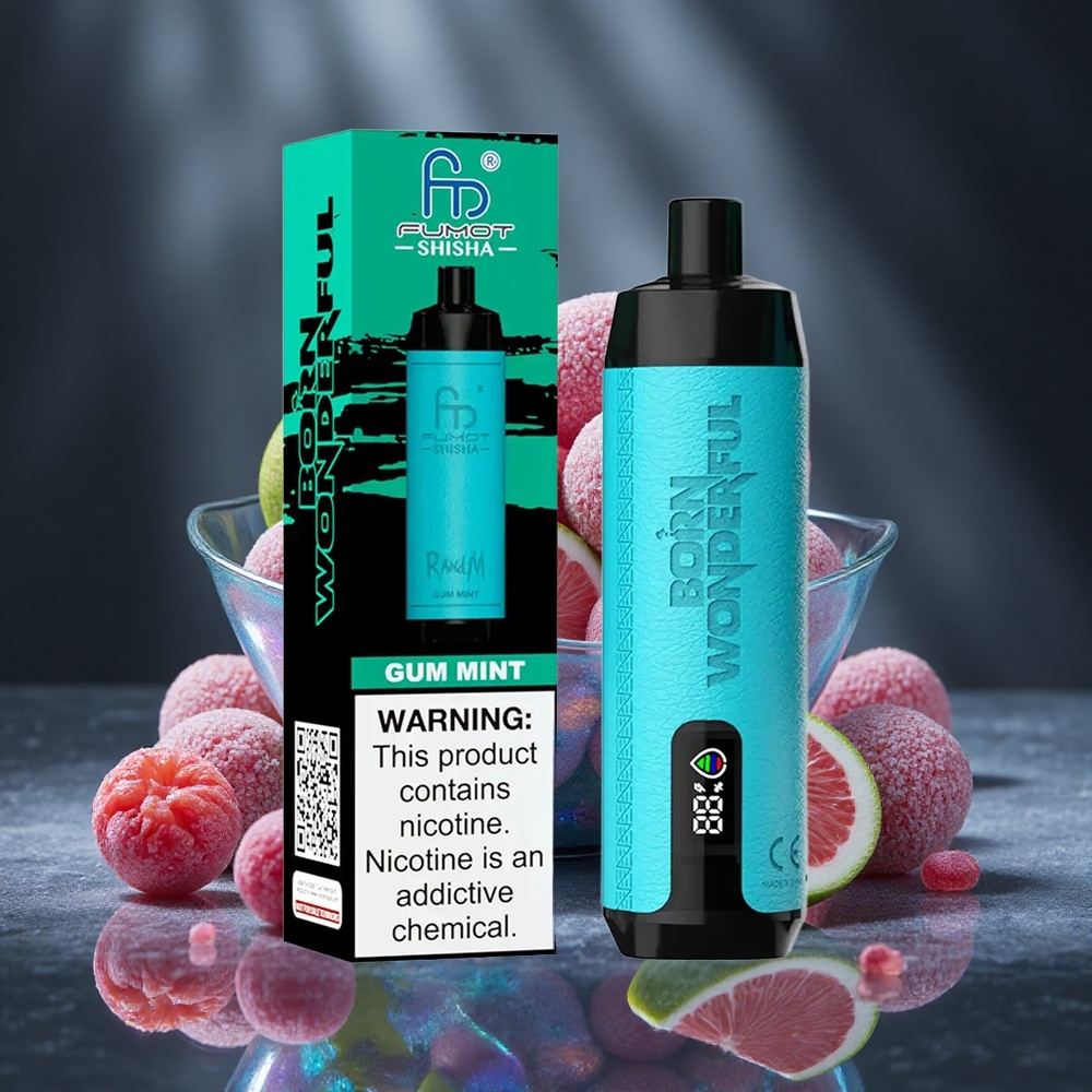 RandM Fumot Shisha 10000 Puffs Gum Mint Disposable Vape with LED Indicator and Type-C Port Canada vape wholesale