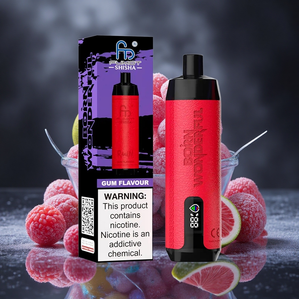RandM Fumot Shisha 10000 Puffs Shisha Gum Flavor LED Indicator Canada vape wholesale