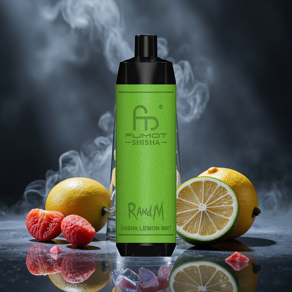 RandM Fumot Shisha 10000 Puffs Shisha Lemon Mint Disposable Vape with LED Indicator and Type-C Port Canada vape wholesale
