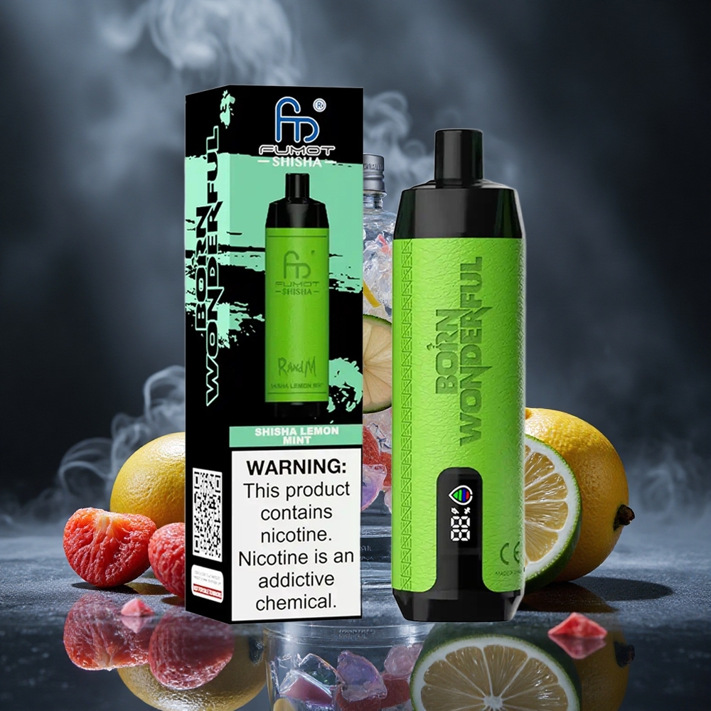 RandM Fumot Shisha 10000 Puffs Shisha Lemon Mint Disposable Vape with LED Indicator and Type-C Port Canada vape wholesale